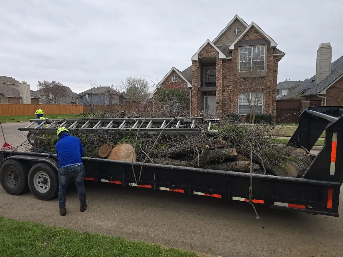 Expert Tree Removal with proper safety equipment in Ashaway
